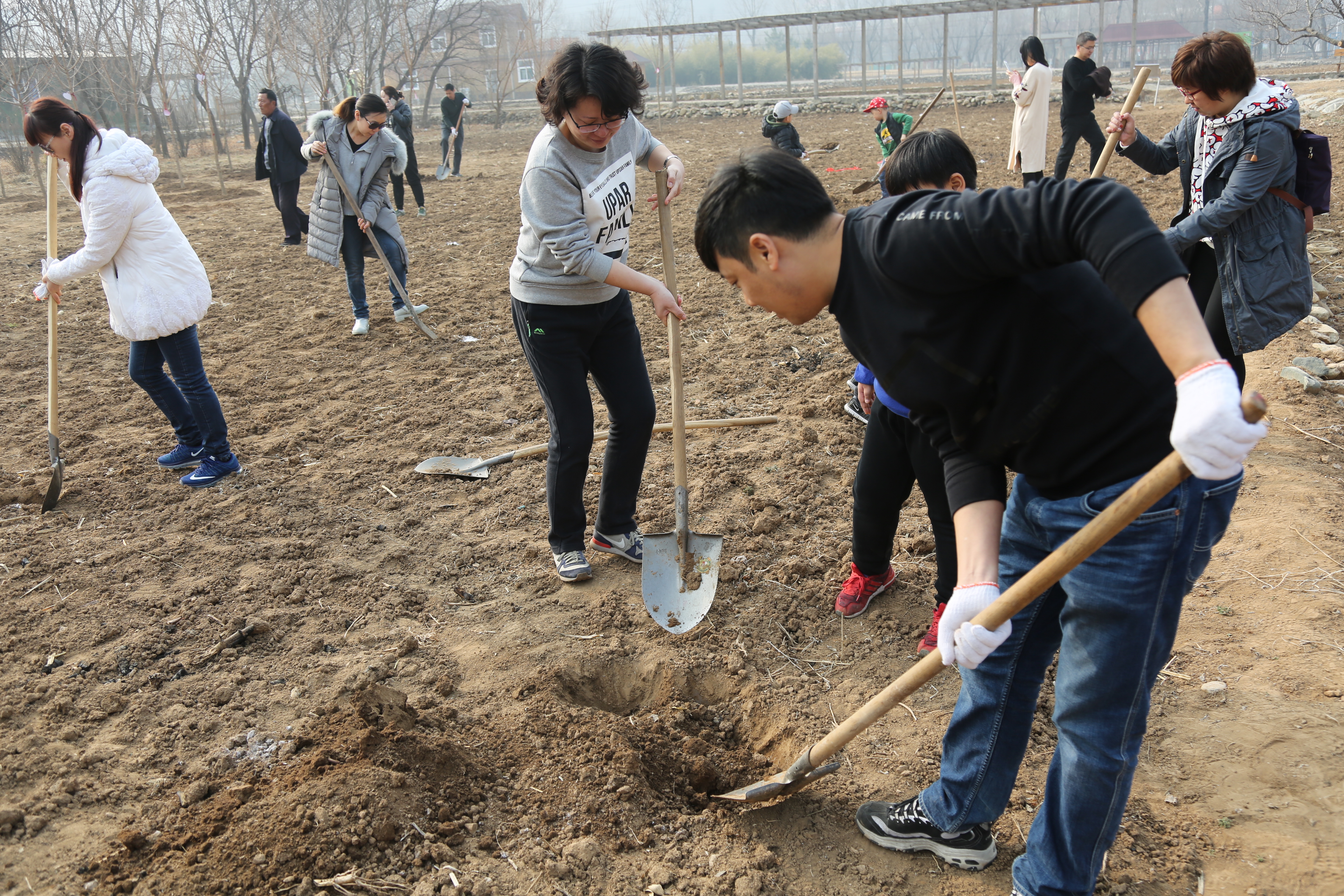 省住房城乡建设行业社会组织第一、第二联合党支部开展义务植树主题党日活动